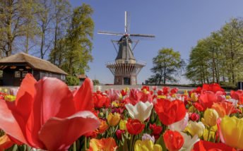 Keukenhof 27.04.2024